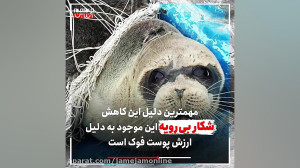 زیبای خزری