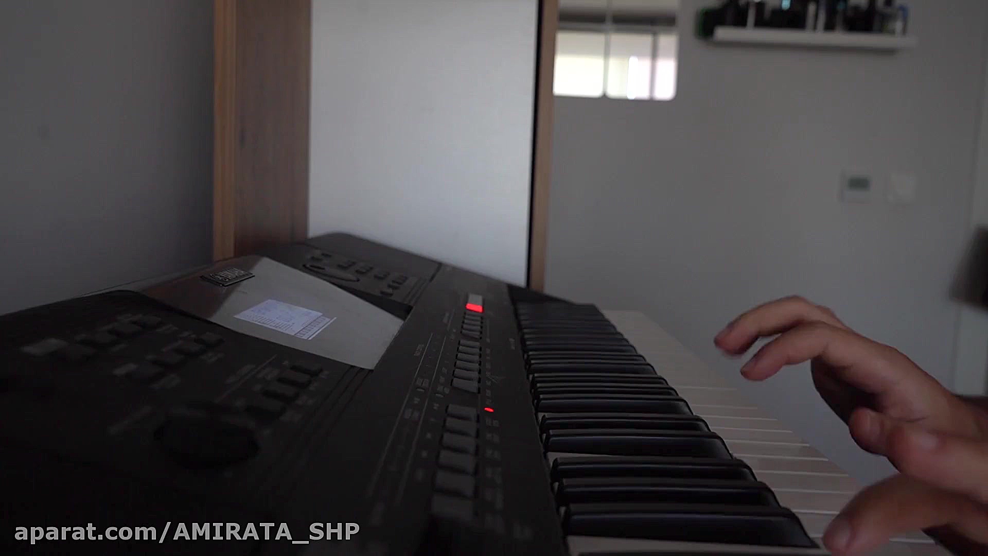 دو تا پرنده لیلا فروهر