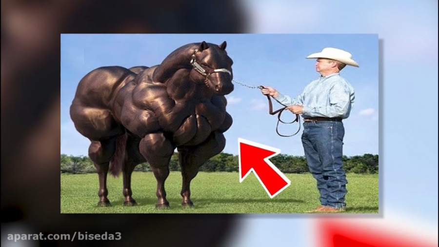 10 جانور دورگه که واقعاً معتقد...