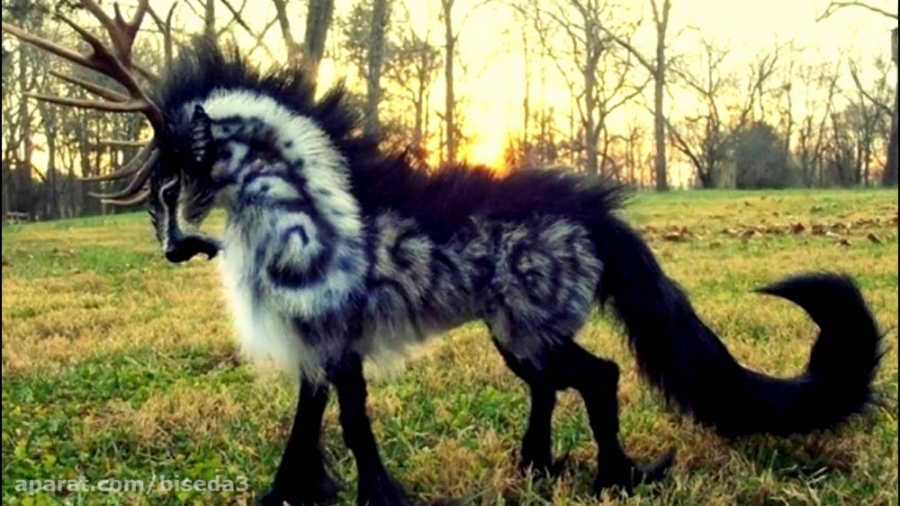 10 موجودات افسانه ای که به واق...