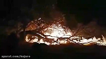 آتش سوزی جنگلهای زاگرس