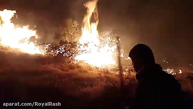 آتش‌سوزی در زاگرس
