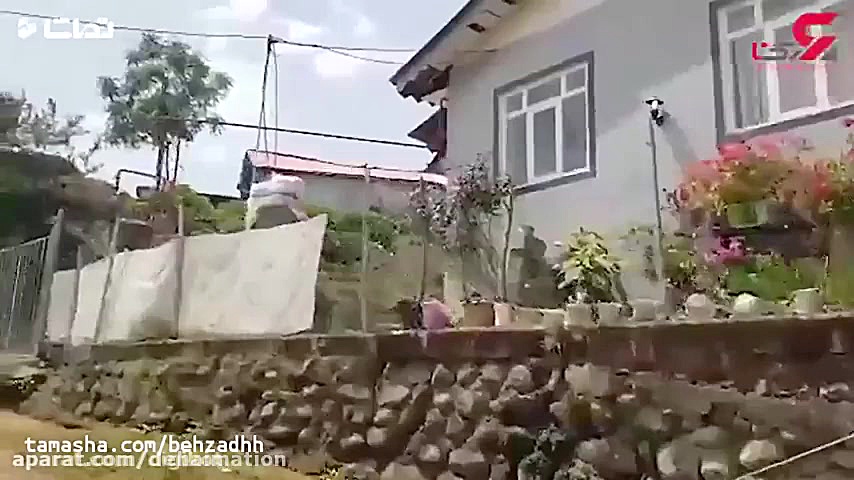 رومینا اشرفی در این خانه توسط...