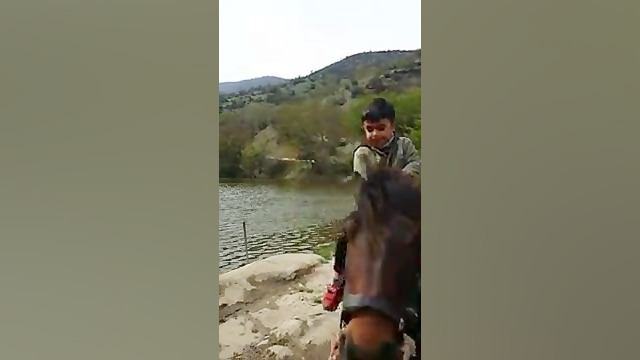 ممل اسب سواری