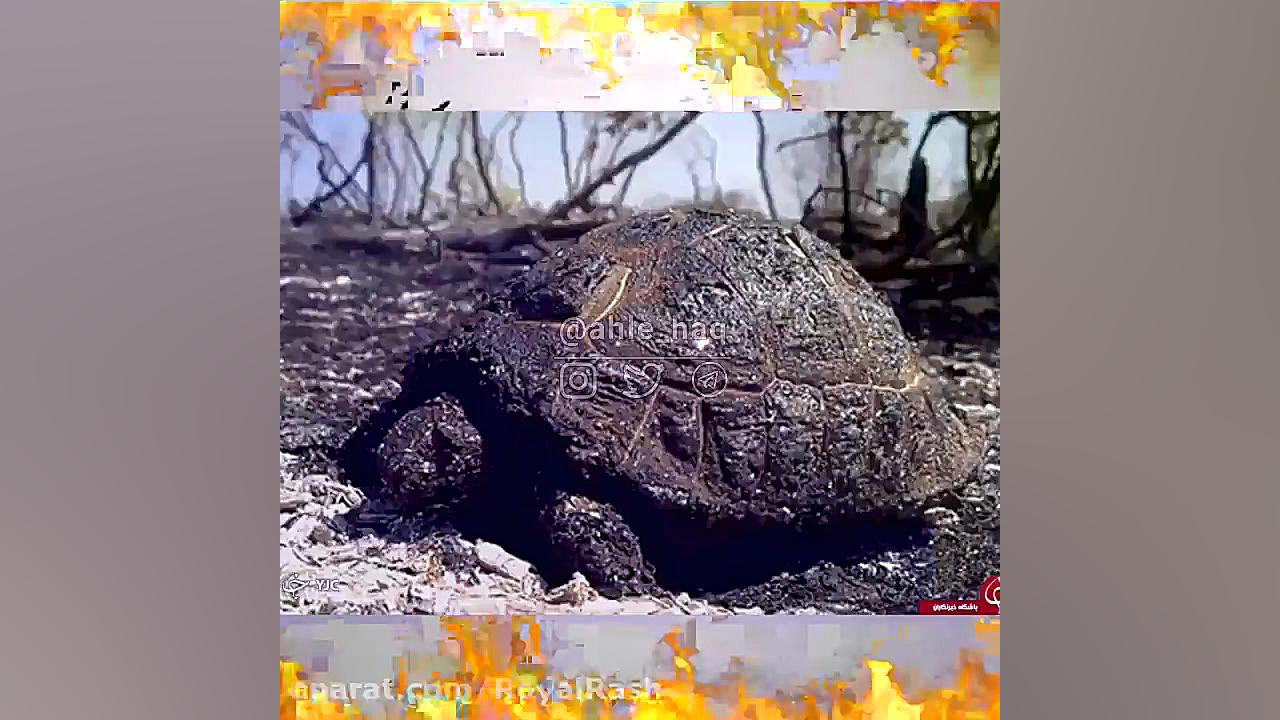 زاگرس را دریابیم