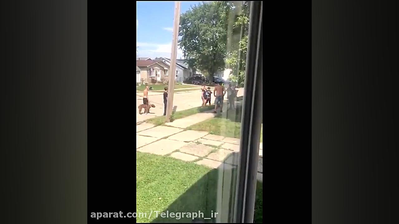 اخلاق نژادپرستانه