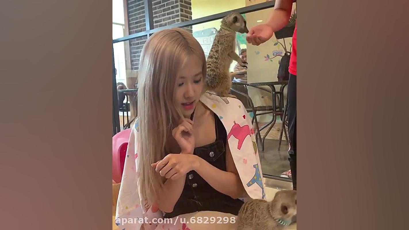 رزی خودم ( بلک پینک ) ( کپی مم...