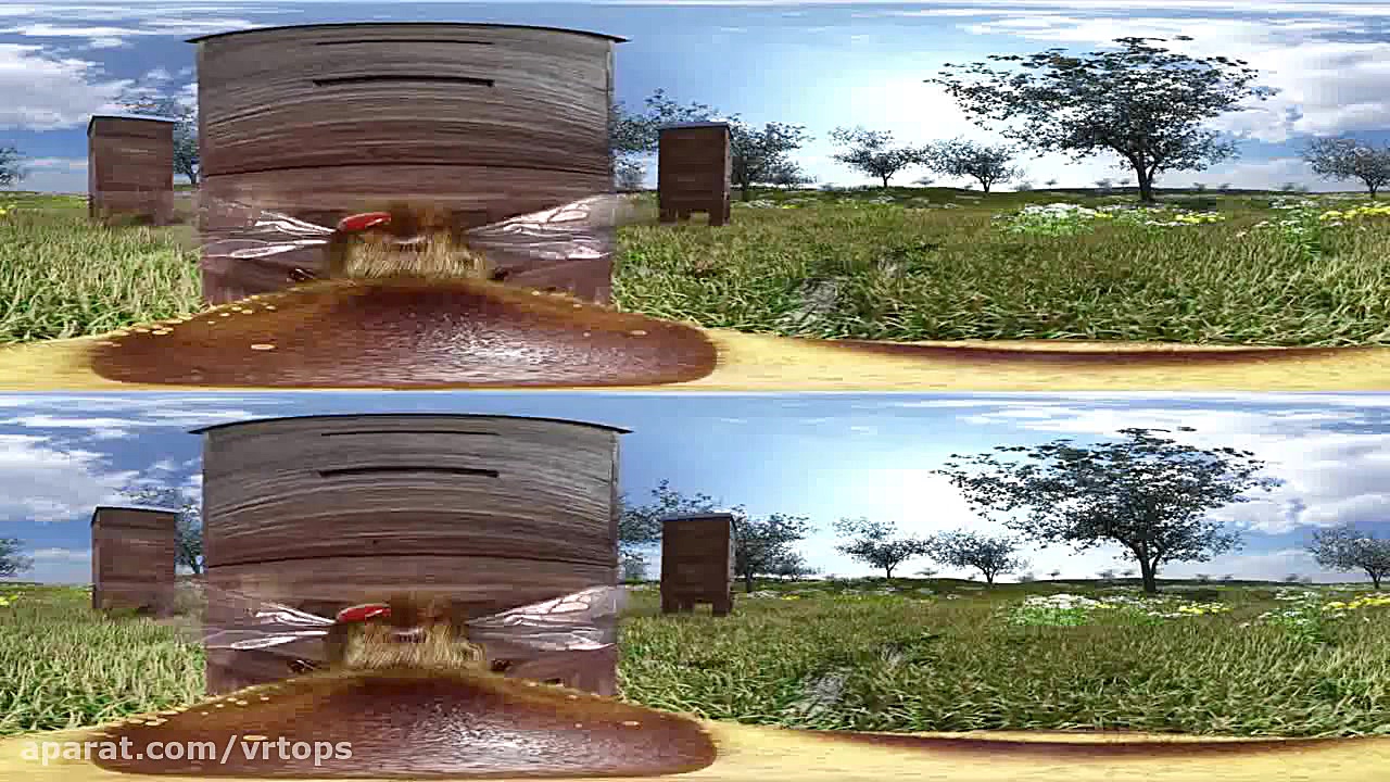 فیلم واقعیت مجازی زندگی زنبور...