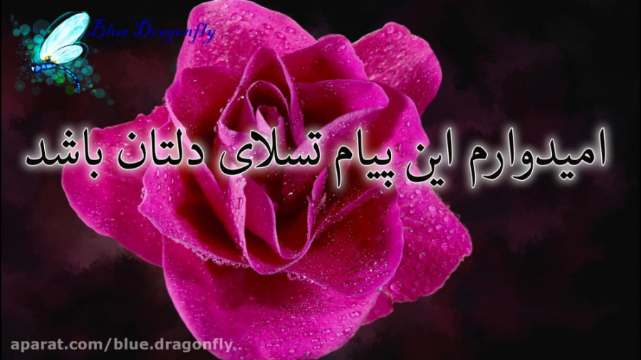 کلیپ تسلیت همدردی پیام تسلیت ع...