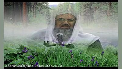 شیخ القرآن مولانا محمد عثمان (...