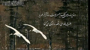 کلیپ کوتاه عاشقانه (تبریک سالگ...