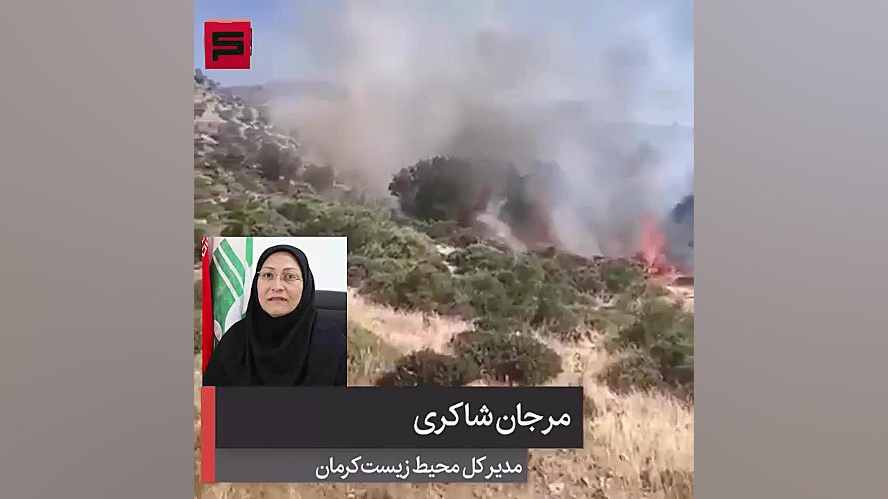 بررسی دلایل آتش سوزی مراتع و ج...