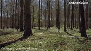 اگه آرامش و عشق میخوای، باید ب...