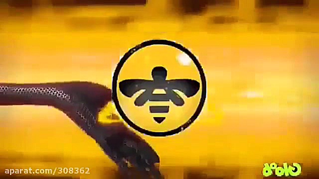 ترکیب کردن معجزه آسا زنبور با...