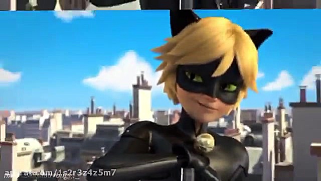 کت نوار خفن