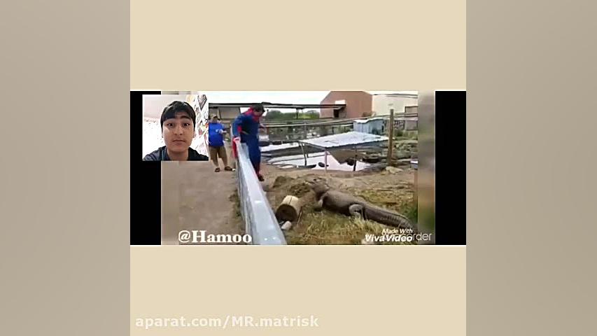 چالش سعی کن نخندی TRY NOT TO L...