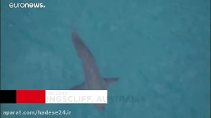 حمله مرگبار کوسه به موج‌س...