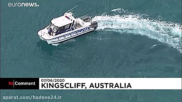 حمله مرگبار کوسه به موج‌سوار ا...