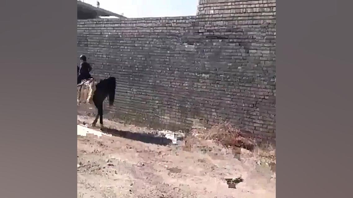 اسب سواری بچه