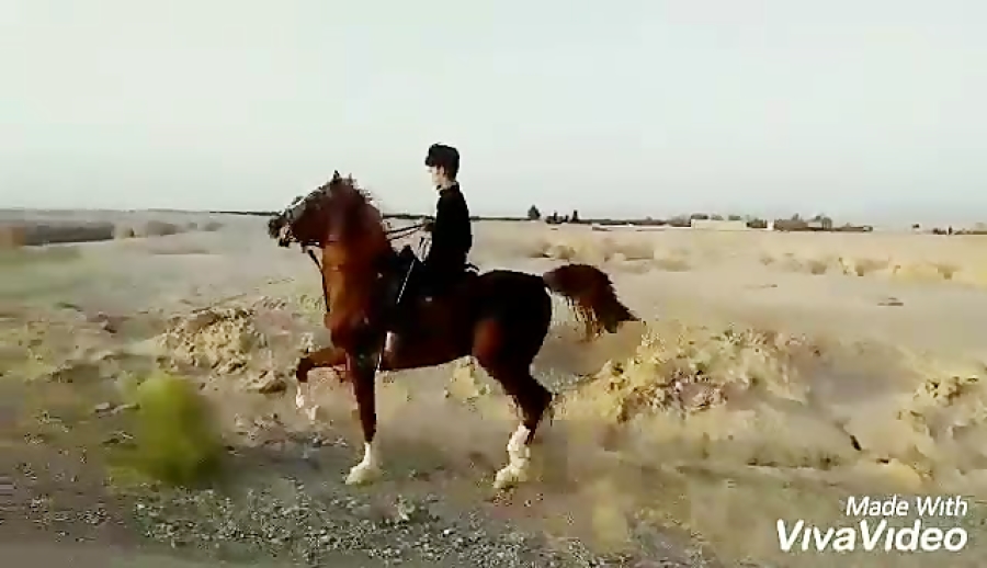 پهلوان میبد  مالک ناصر وزیری