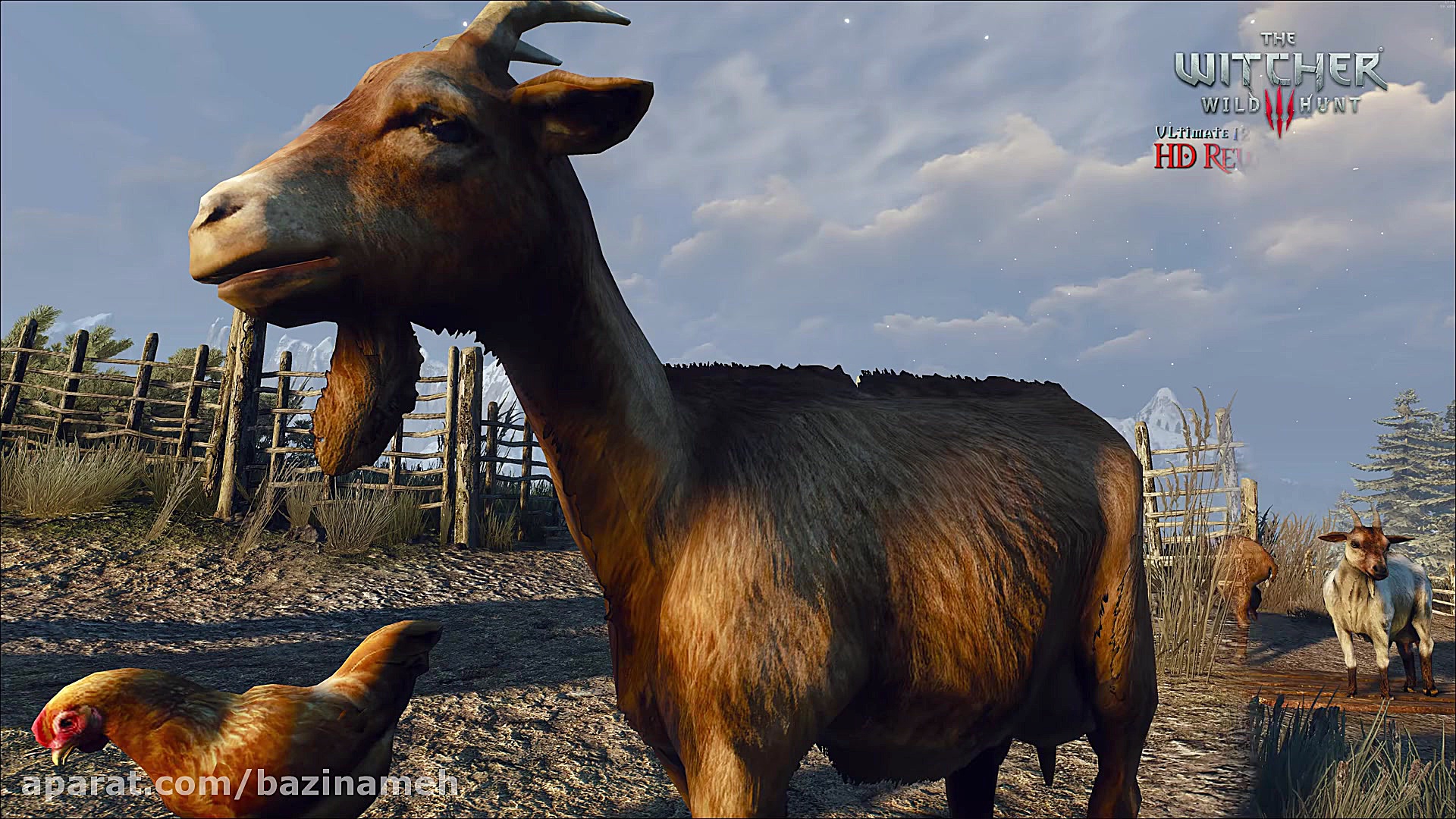 ویدیوی ماد گرافیکی بازی The Wi...