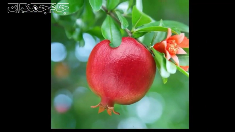 کلیپ عاشقانه درباره خدا ❤