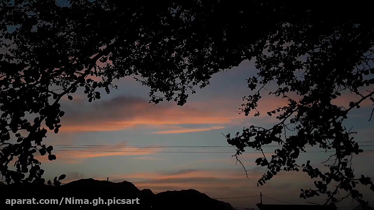 نیست شو علیرضا قربانی