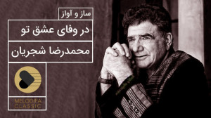 در وفای عشق تو مشهور خوبانم چو...