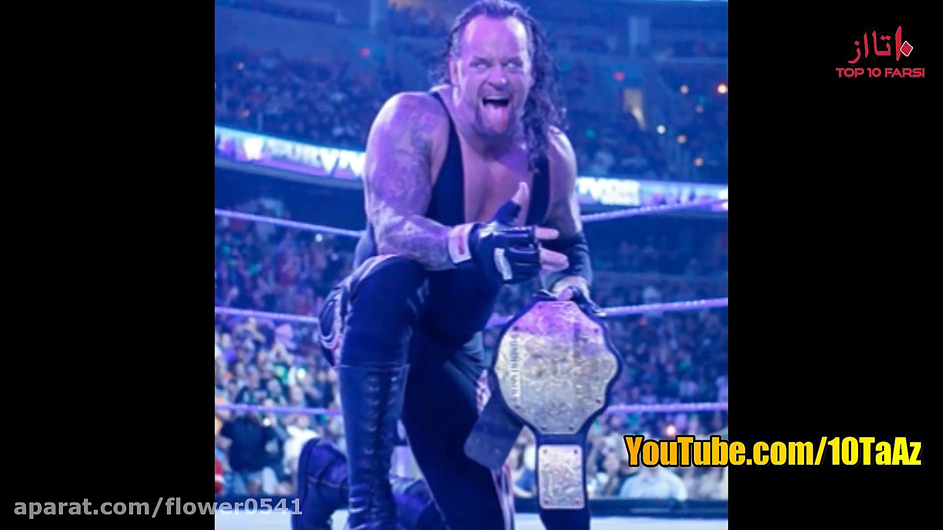 ۱۰ تا از بهترین کشتی کاج کاران...