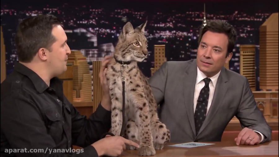 حیوان وحشی در استودیو جیمی !