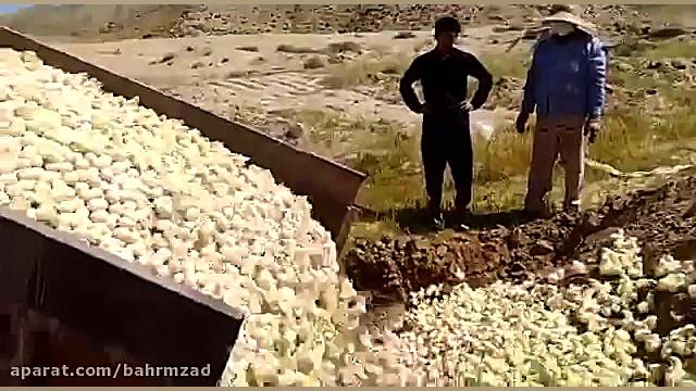 کشتن هزاران جوجه(مجازات کشتن ح...