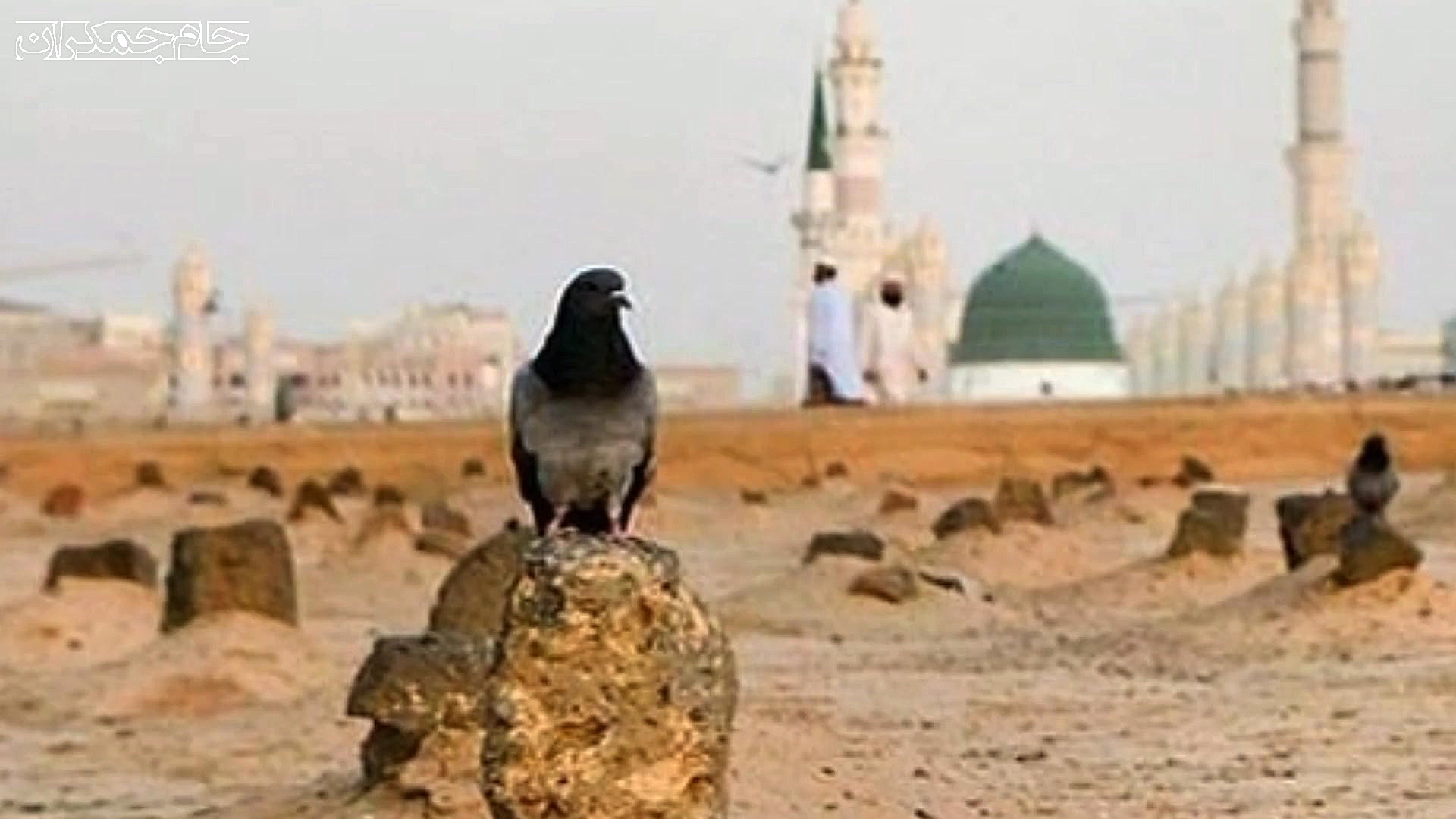 کلیپ تسلیت شهادت امام جعفر صاد...