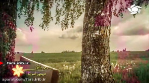 ترانه ای آرام بخش از آقای فرید...