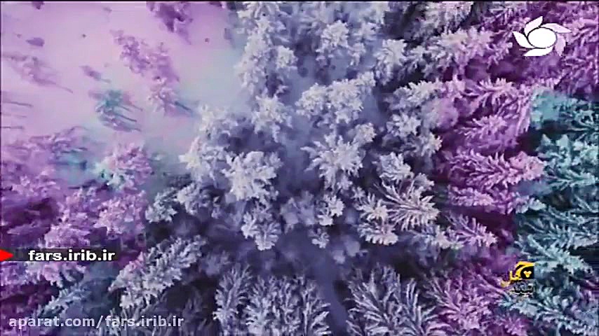 ترانه ای آرام بخش از آقای فرید...