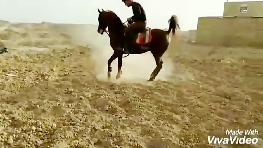 گرانجو میبد مالک میثم طحانی