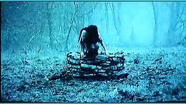 تکه ای از فیلم ترسناک حلقه  TH...