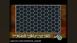 اسرار کندو زنبور عسل