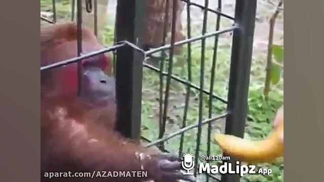 ویدیو خنده دار ایرانی