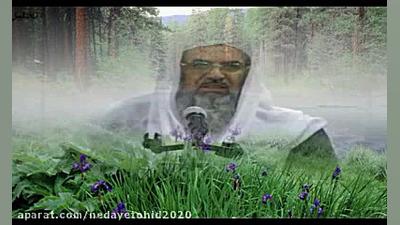 شیخ القرآن مولانا محمد عثمان (...