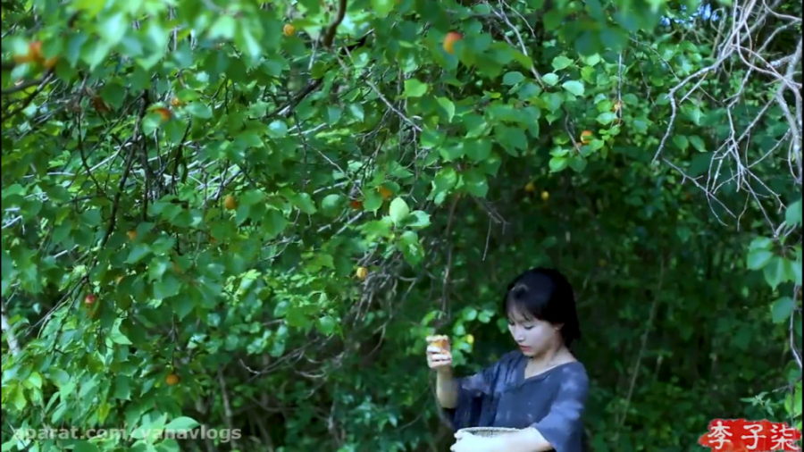 دختران در دل طبیعت