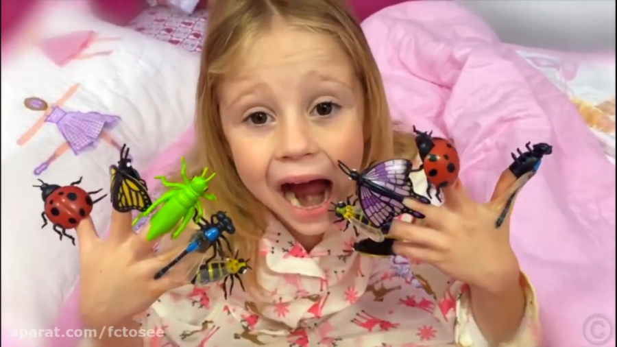 ناستیا و استیسی | استیسی و داس...