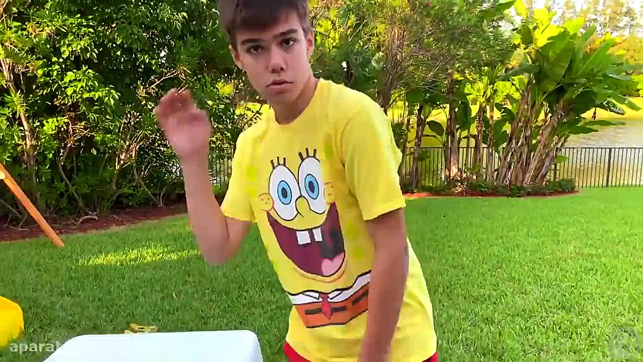 ناستیا و استیسی | استیسی به عن...