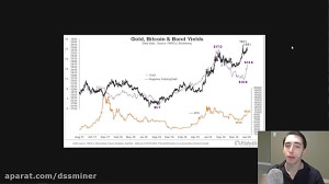 dssminer.com Bitcoin Gold  The...