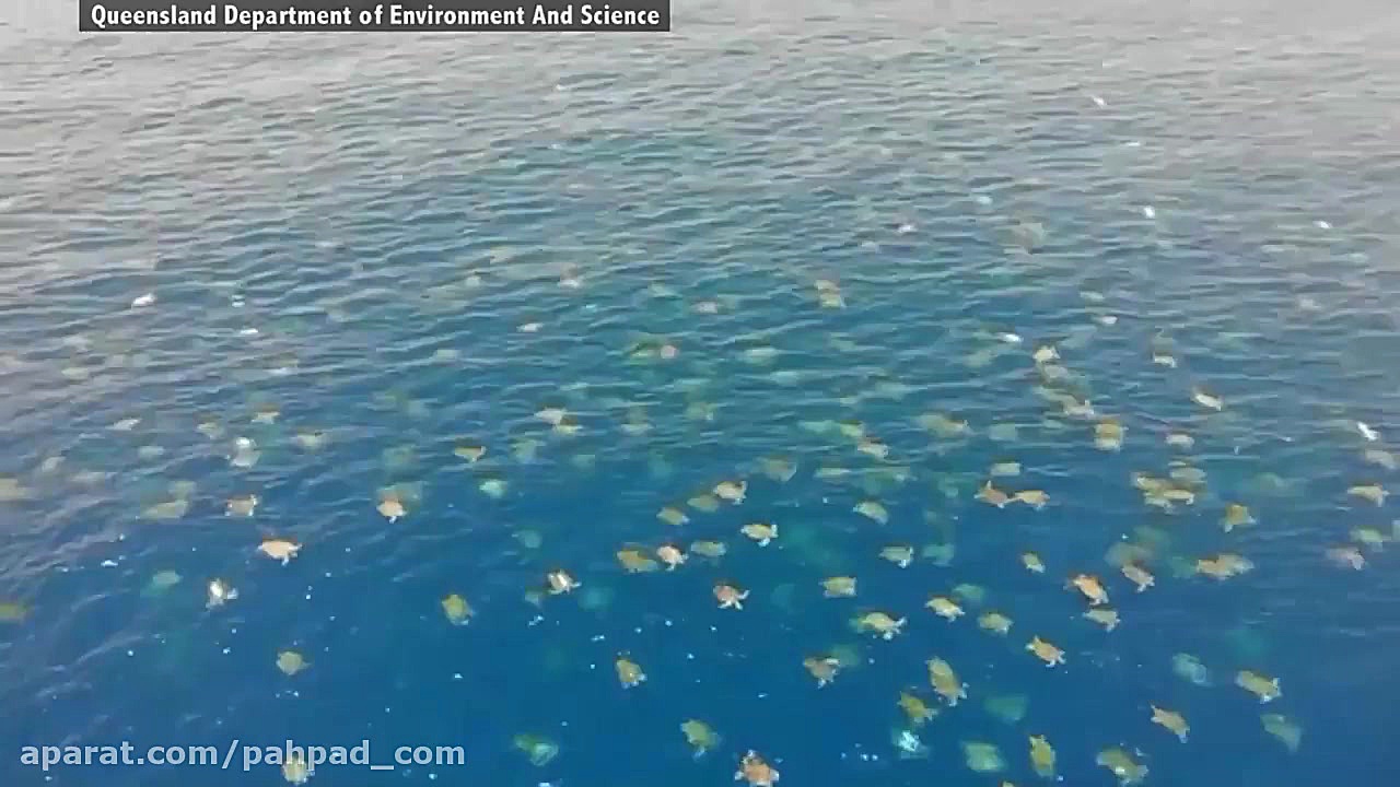 پهپادها تصاویر ۶۴ هزار لاک&zwn...