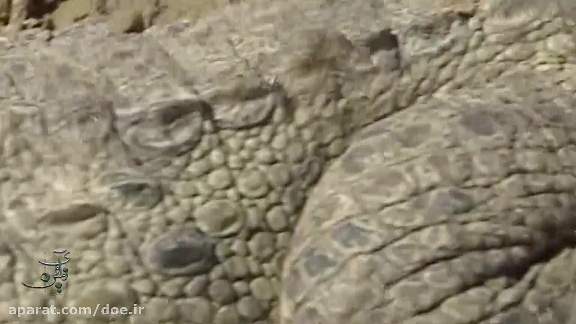 مستند آوای زمین ( گاندو )