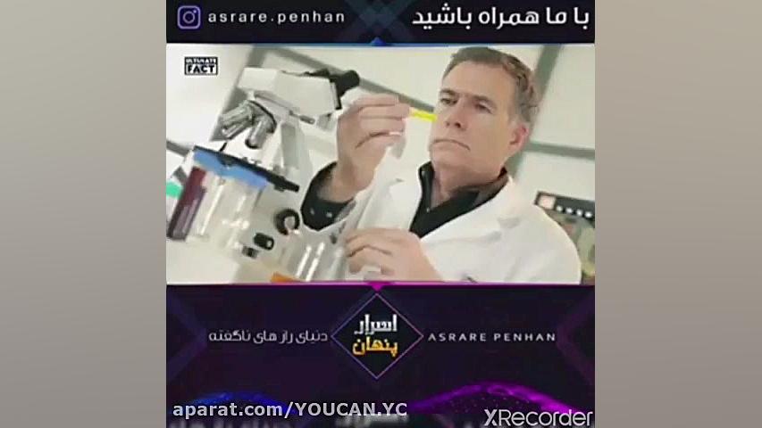 عجیب ترین حیوانات دنیا ، تایگو...