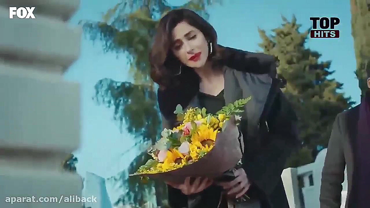 شاهیکابرسرقبرنادردرسریال سیب م...