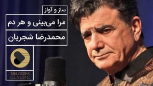 مرا می بینی و هر دم زیادت میک...