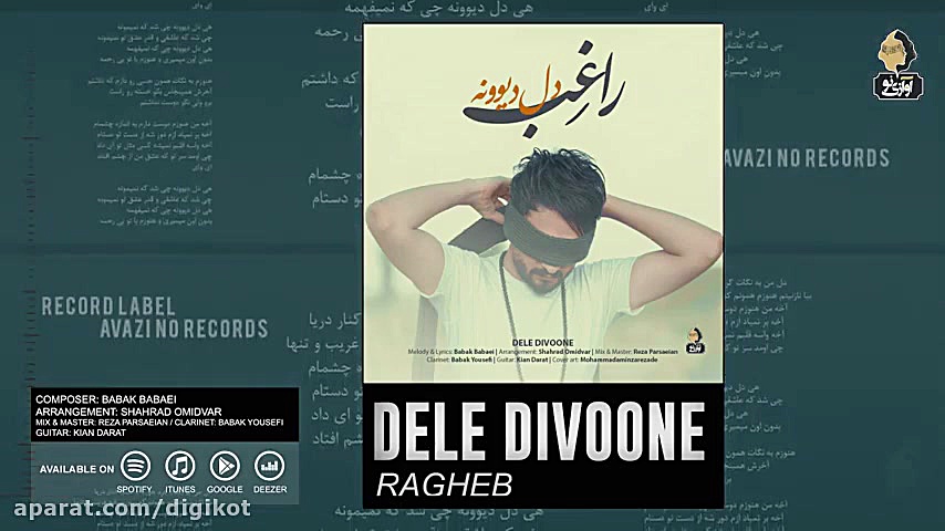 آهنگ راغب  دل دیوونه