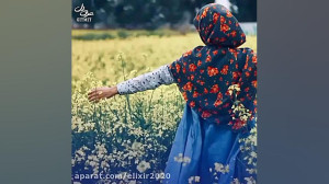 دانلود کلیپ تبریک تولد تیر ماه...